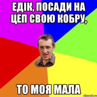 Едік, посади на цеп свою кобру, то моя мала