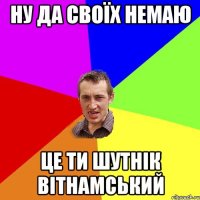 ну да своїх немаю це ти шутнік вітнамський