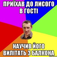 приїхав до лисого в гості научив його вилітать з балкона