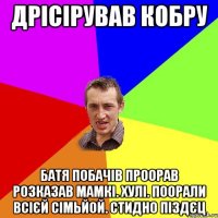 Дрісірував кобру батя побачів проорав розказав мамкі. хулі. поорали всієй сімьйой. стидно піздєц