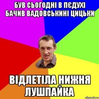 Був сьогодні в пєдухі бачив Вадовськині цицьки відлетіла нижня лушпайка