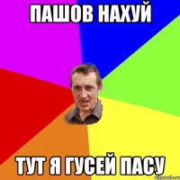 пашов нахуй тут я гусей пасу