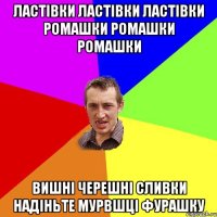 ластівки ластівки ластівки ромашки ромашки ромашки вишні черешні сливки надіньте мурвшці фурашку