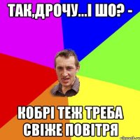 Так,дрочу...і шо? - кобрі теж треба свіже повітря