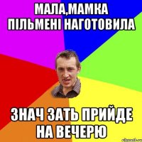 мала,мамка пільмені наготовила знач зать прийде на вечерю