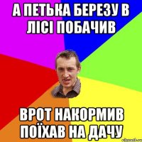 А петька березу в лісі побачив врот накормив поїхав на дачу