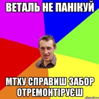 веталь не панікуй МТху справиш забор отремонтіруєш