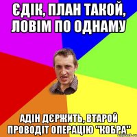 Єдік, план такой, ловім по однаму Адін дєржить, втарой проводіт операцію "Кобра"