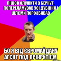 Пішов служити в беркут, попереламував усі дубінки і шлєми порозбивав Бо я від євромайдану агєнт под прікритієм