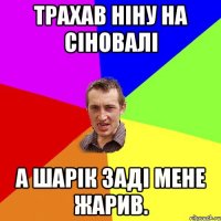 Трахав Ніну на сіновалі а шарік заді мене жарив.