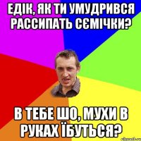 Едік, як ти умудрився рассипать сємічки? В тебе шо, мухи в руках їбуться?