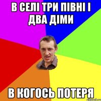 в селі три півні і два діми в когось потеря