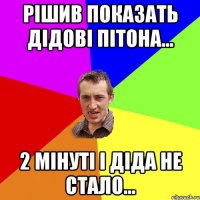 РІШИВ ПОКАЗАТЬ ДІДОВІ ПІТОНА... 2 МІНУТІ І ДІДА НЕ СТАЛО...