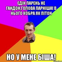 Едік парень не гандон,голова парніша! В нього кобра як пітон Но у мене Біша!