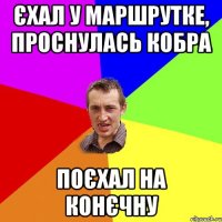 Єхал у маршрутке, проснулась кобра поєхал на конєчну