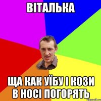 віталька ща как уїбу і кози в носі погорять