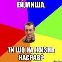 Ей,Миша, ТИ ШО НА ЖИЗНЬ НАСРАВ?