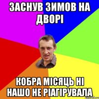 Заснув зимов на дворі кобра місяць ні нашо не ріагірувала