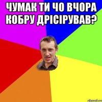 Чумак ти чо вчора кобру дрісірував? 