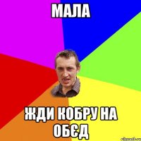 МАЛА ЖДИ КОБРУ НА ОБЄД