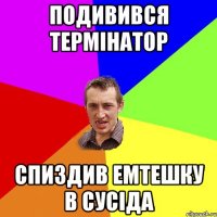 подивився термінатор спиздив емтешку в сусіда