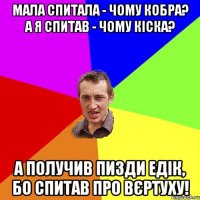 Мала спитала - чому кобра? А я спитав - чому кіска? А получив пизди Едік, бо спитав про вєртуху!