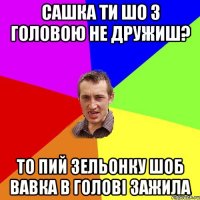 САШКА ТИ ШО З ГОЛОВОЮ НЕ ДРУЖИШ? ТО ПИЙ ЗЕЛЬОНКУ ШОБ ВАВКА В ГОЛОВІ ЗАЖИЛА