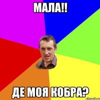 Мала!! Де моя кобра?