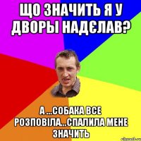 що значить я у дворы надєлав? а ...собака все розповіла...спалила мене значить