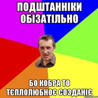 ПОДШТАННІКИ ОБІЗАТІЛЬНО БО КОБРА ТО ТЄПЛОЛЮБНОЄ СОЗДАНІЄ