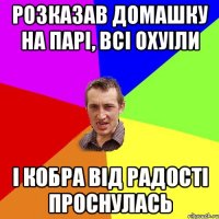 РОзказав домашку на парі, всі охуіли і кобра від радості проснулась