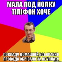 Мала под йолку тіліфон хоче покладу домашній,всьоравно провода обрізали за не уплату