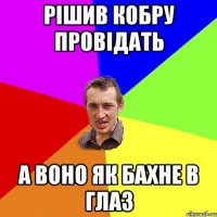 рішив кобру провідать а воно як бахне в глаз