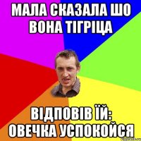 мала сказала шо вона тігріца відповів їй: овечка успокойся