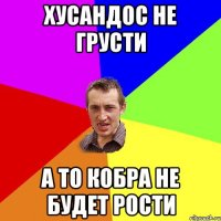 Хусандос не грусти а то кобра не будет рости