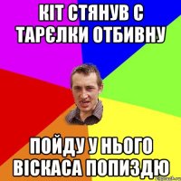 кіт стянув с тарєлки отбивну пойду у нього віскаса попиздю