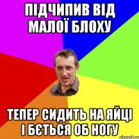 ПІДЧИПИВ ВІД МАЛОЇ БЛОХУ ТЕПЕР СИДИТЬ НА ЯЙЦІ І БЄТЬСЯ ОБ НОГУ