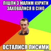 Пішли з малим курити заховалися в сіно осталися лисими