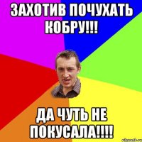 Захотив почухать кобру!!! Да чуть не покусала!!!!