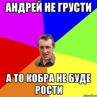 Андрей не грусти а то кобра не буде рости