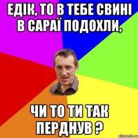 Едік, то в тебе свині в сараї подохли, чи то ти так перднув ?