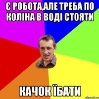 Є робота,але треба по коліна в воді стояти Качок їбати