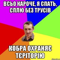 всьо кароче, я спать, сплю без трусів кобра охраняє тєріторію