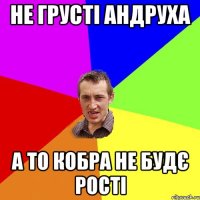 не грусті Андруха а то кобра не будє рості