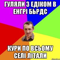 Гуляли з Едіком в Енгрі Бьрдс Кури по всьому селі літали