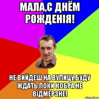 мала,с днём рожденiя! не вийдеш на вулицу,буду ждать,поки кобра не вiдмерзне!