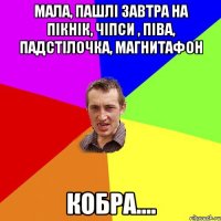 Мала, пашлі завтра на пікнік, чіпси , піва, падстілочка, магнитафон Кобра....