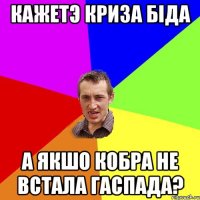 кажетэ криза біда а якшо кобра не встала гаспада?