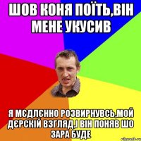 Шов коня поїть,він мене укусив Я мєдлєнно розвирнувсь,мой дєрскій взгляд,і він поняв шо зара буде