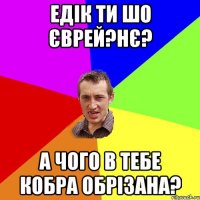 едік ти шо єврей?нє? а чого в тебе кобра обрізана?